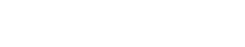 Small Lot Homes